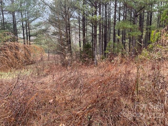 0 Spur Alley, Unit LOT #27 Rutherfordton, NC 28139 - Photo 9 of 10 Gallery Image 9