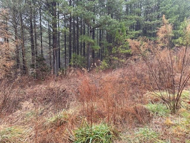 0 Spur Alley, Unit LOT #27 Rutherfordton, NC 28139 - Photo 10 of 10 Gallery Image 10