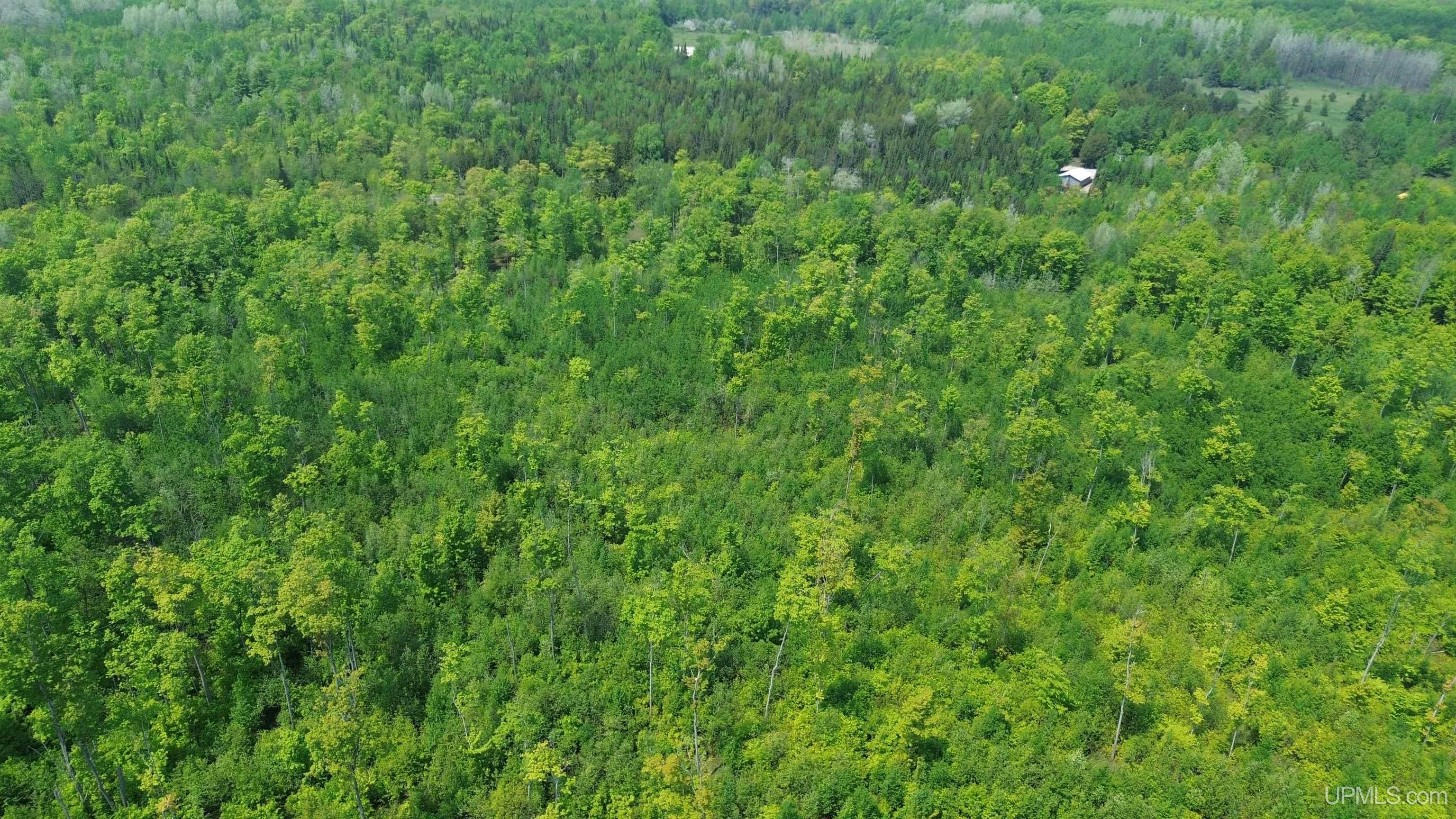 2493 Letson Road Gulliver, MI 49840 - Photo 54 of 56