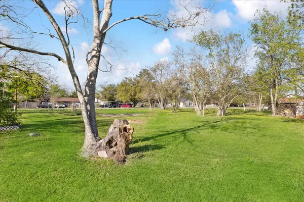 a view of a park with large trees