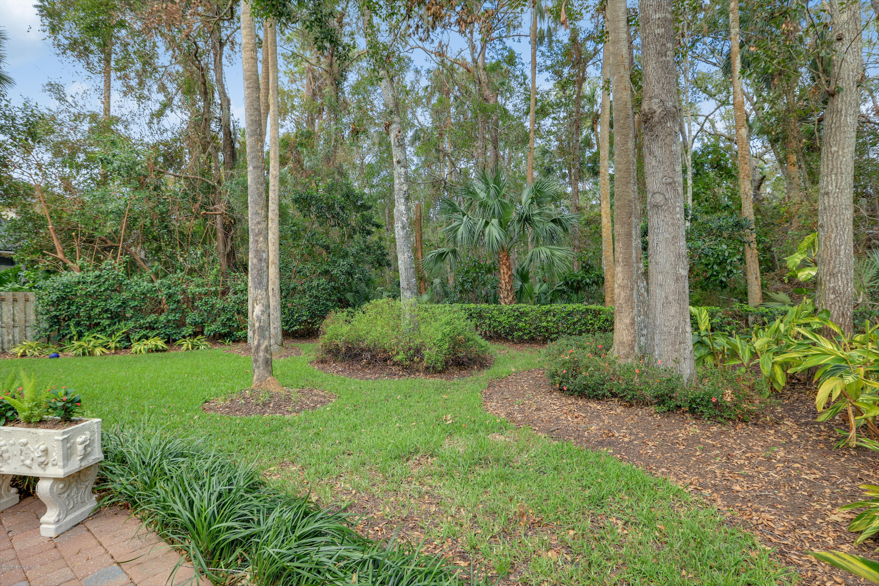 489 Big Tree Road Ponte Vedra Beach, FL 32082 - Photo 25 of 32 a view of a backyard with large trees