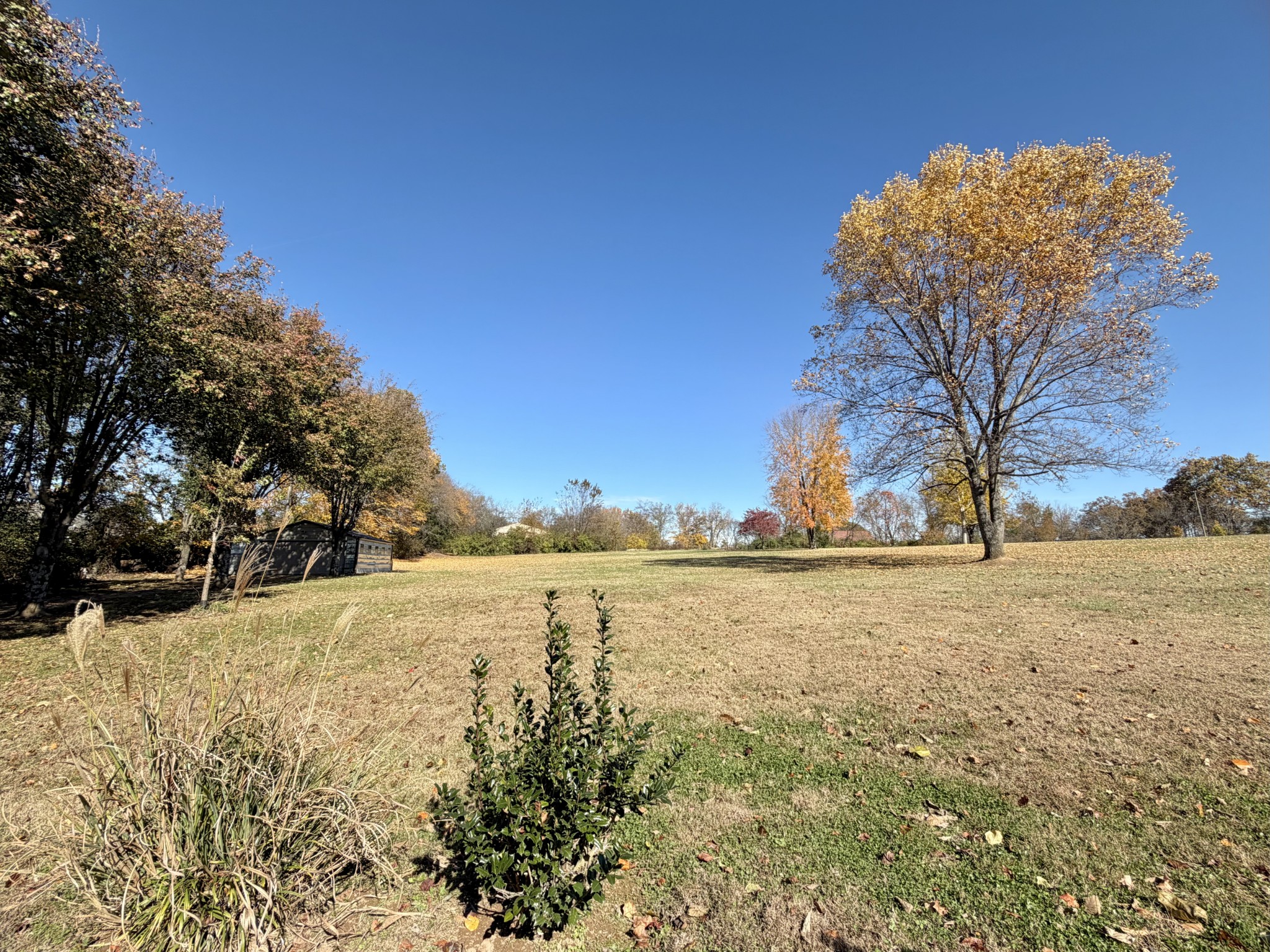 6914 Burkitt Road Antioch, TN 37013 - Photo 85 of 97