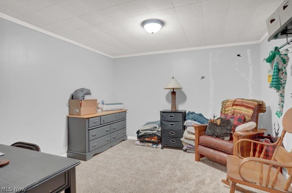 5313 Dailey Road Akron, OH 44319 - Photo 28 of 35