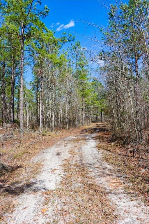 0 Tillman Eason Road Claxton, GA 30417 - Photo 12 of 28