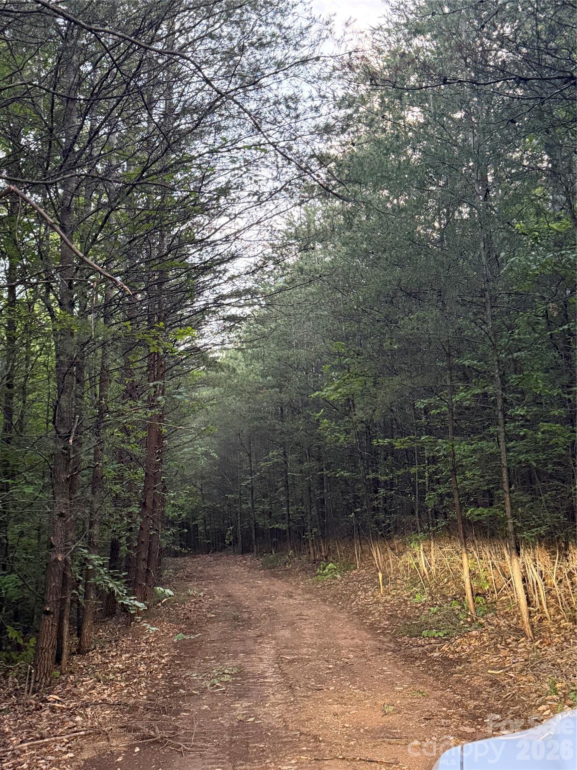 2 Hill Road Marion, NC 28752 - Photo 8 of 9