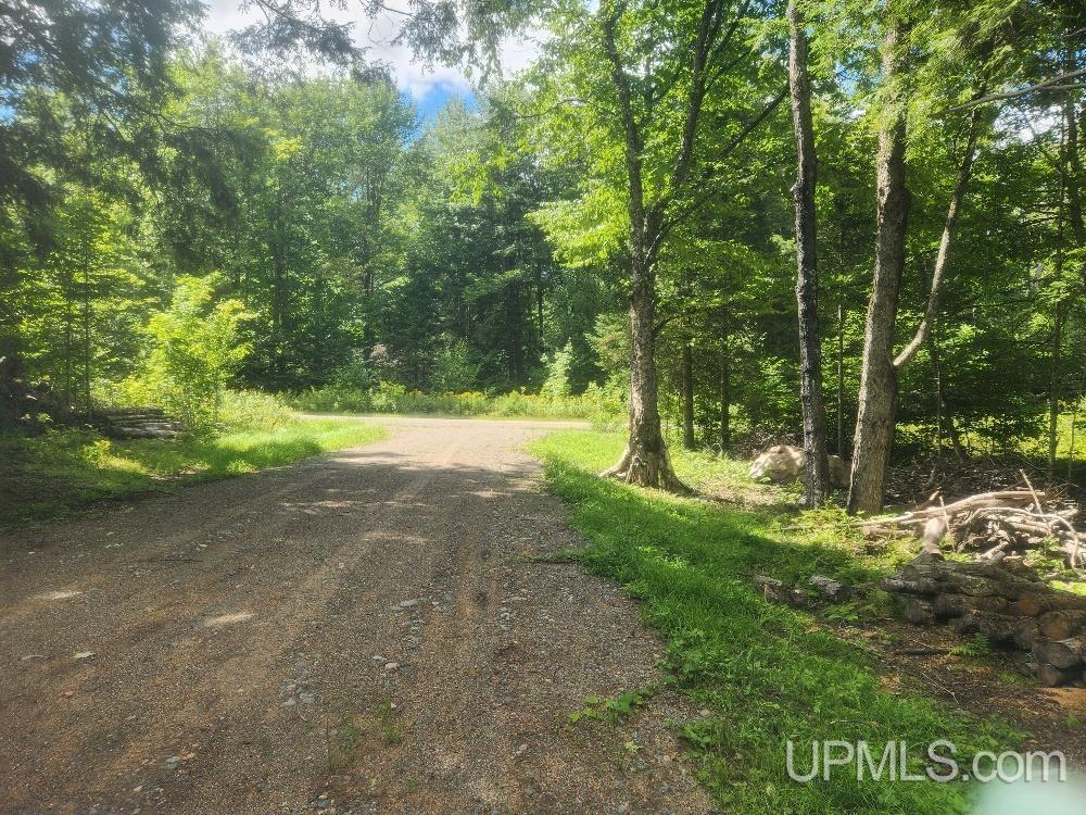 Tbd West Tamarack Lake Road, Unit LOT 5 Watersmeet, MI 49969 - Photo 16 of 66
