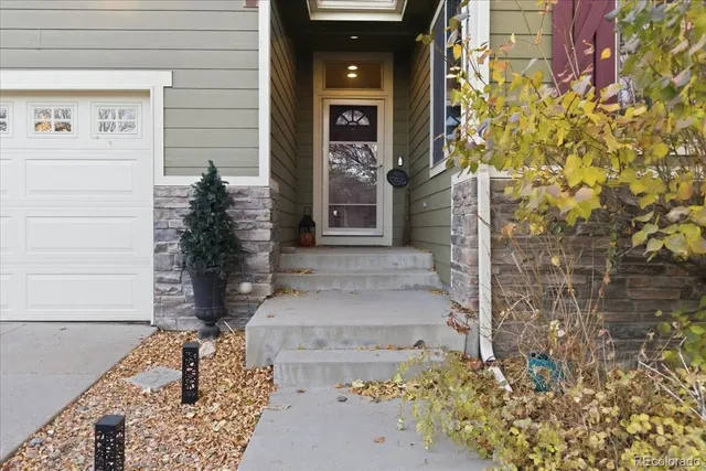 a potted plant in front of a door