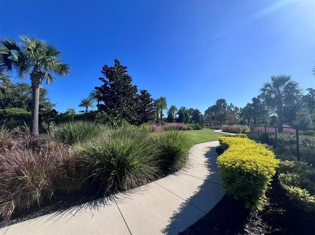 a view of a bench in middle of the yard