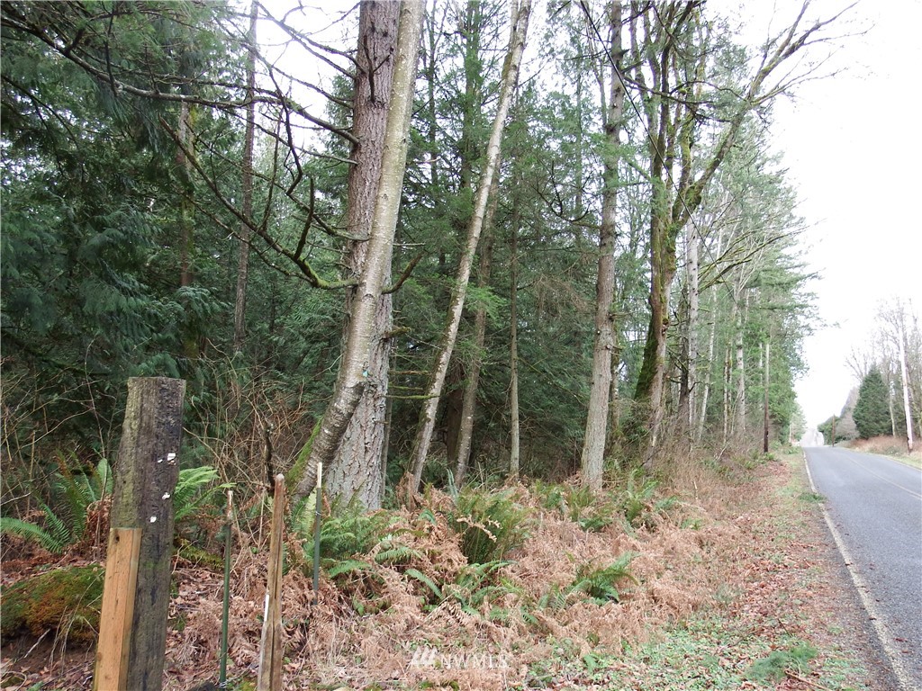 9277 Stein Road Custer, WA 98240 - Photo 1 of 21