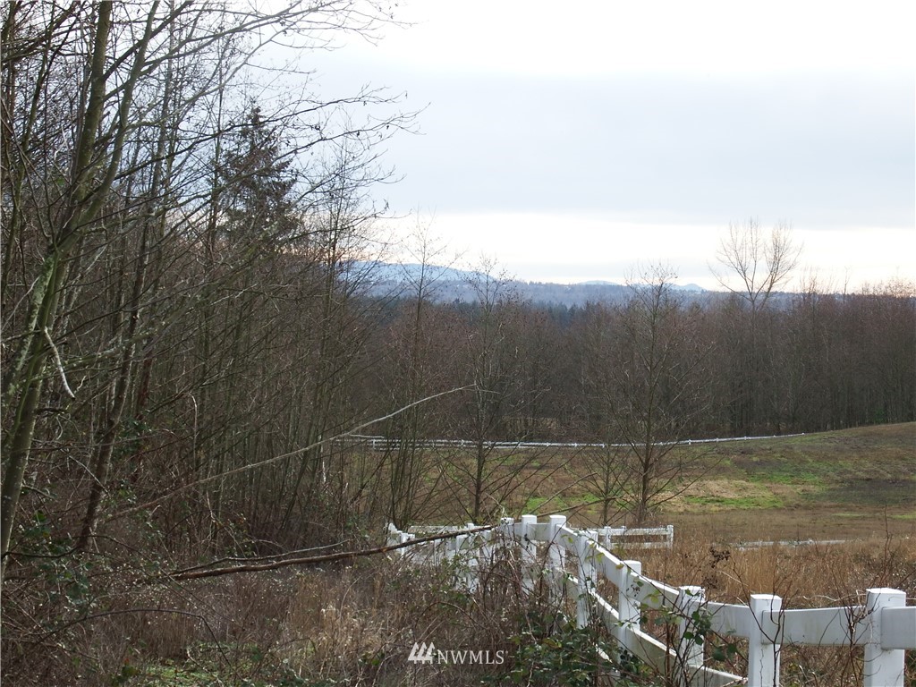 9277 Stein Road Custer, WA 98240 - Photo 10 of 21