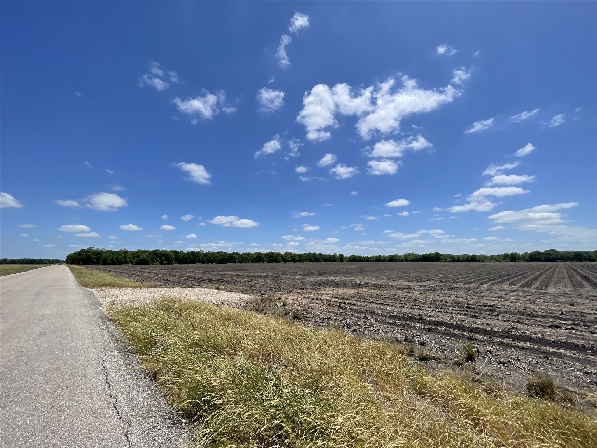 0 Charlie Meyer Road Damon, TX 77430 - Photo 11 of 13 a view of a lake from a yard