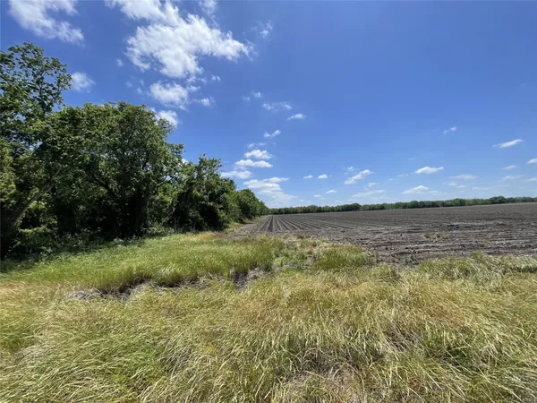 a view of a lake from a yard