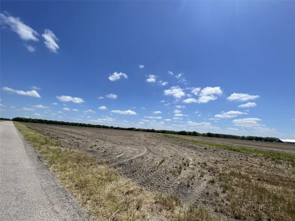 a view of an ocean in a field