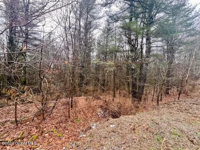 $99,500 | L67 Old Ghost Road, Unit LOT 6, Canaan, NY 12029