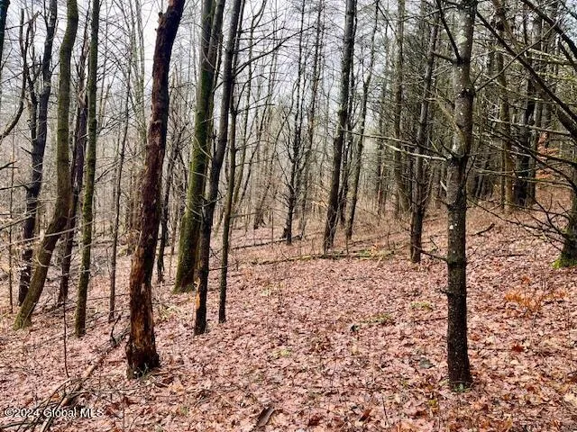 $99,500 | L67 Old Ghost Road, Unit LOT 6, Canaan, NY 12029