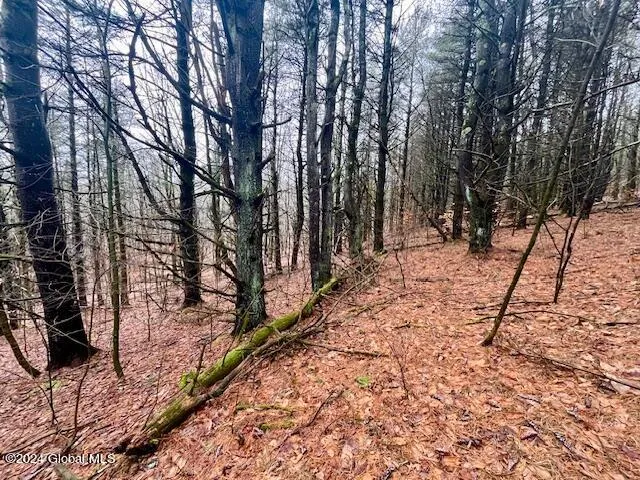 $99,500 | L67 Old Ghost Road, Unit LOT 6, Canaan, NY 12029