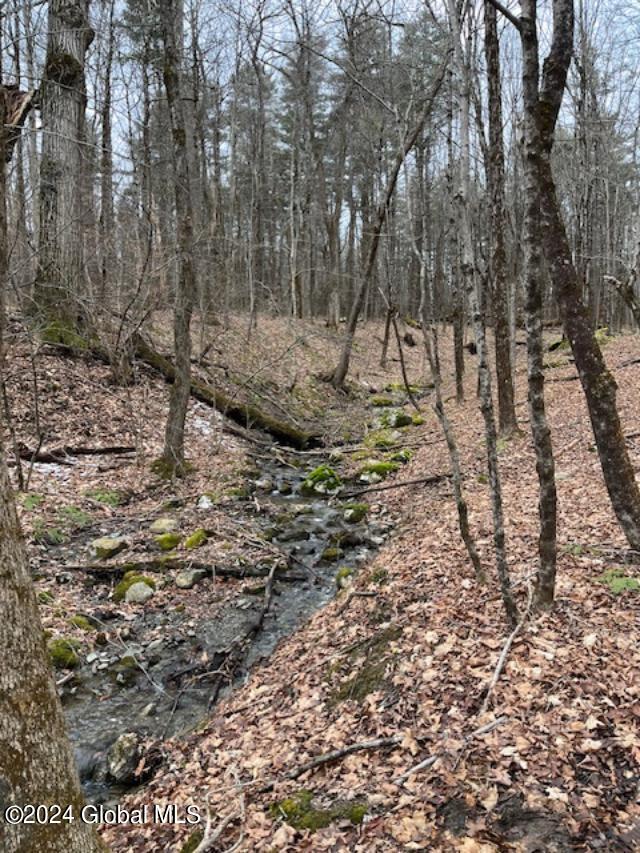 L67 Old Ghost Road, Unit LOT 6 Canaan, NY 12029 - Photo 15 of 16 stream