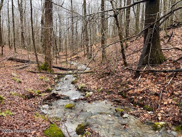 L67 Old Ghost Road, Unit LOT 6 Canaan, NY 12029 - Photo 16 of 16 stream
