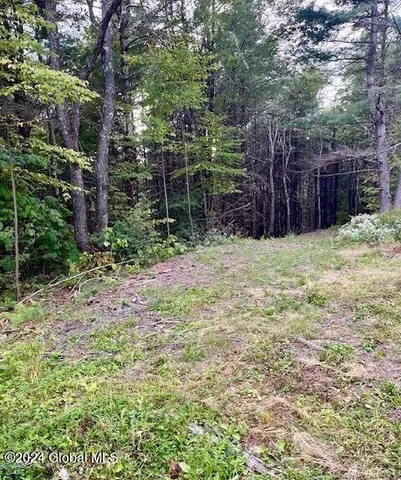 $99,500 | L67 Old Ghost Road, Unit LOT 6, Canaan, NY 12029