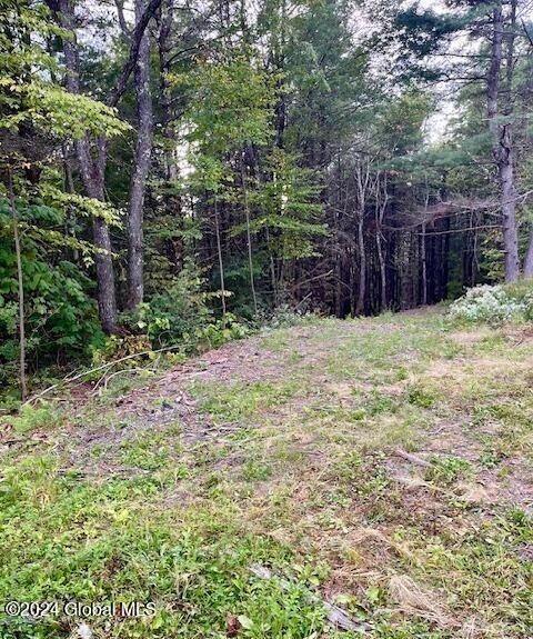 L67 Old Ghost Road, Unit LOT 6 Canaan, NY 12029 - Photo 2 of 16 From road to new drive cut in
