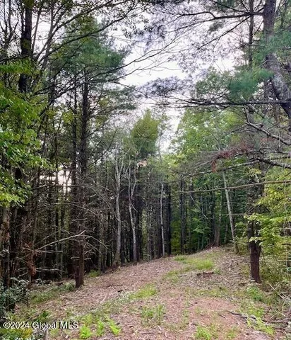 $99,500 | L67 Old Ghost Road, Unit LOT 6, Canaan, NY 12029