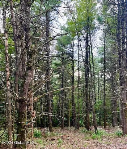 $99,500 | L67 Old Ghost Road, Unit LOT 6, Canaan, NY 12029