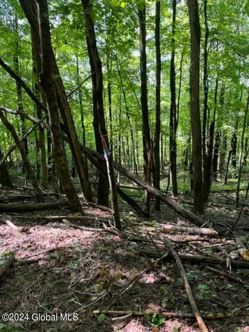 $99,500 | L67 Old Ghost Road, Unit LOT 6, Canaan, NY 12029