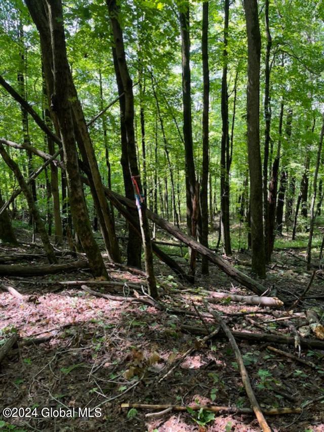 L67 Old Ghost Road, Unit LOT 6 Canaan, NY 12029 - Photo 7 of 16 2