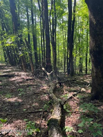 $99,500 | L67 Old Ghost Road, Unit LOT 6, Canaan, NY 12029