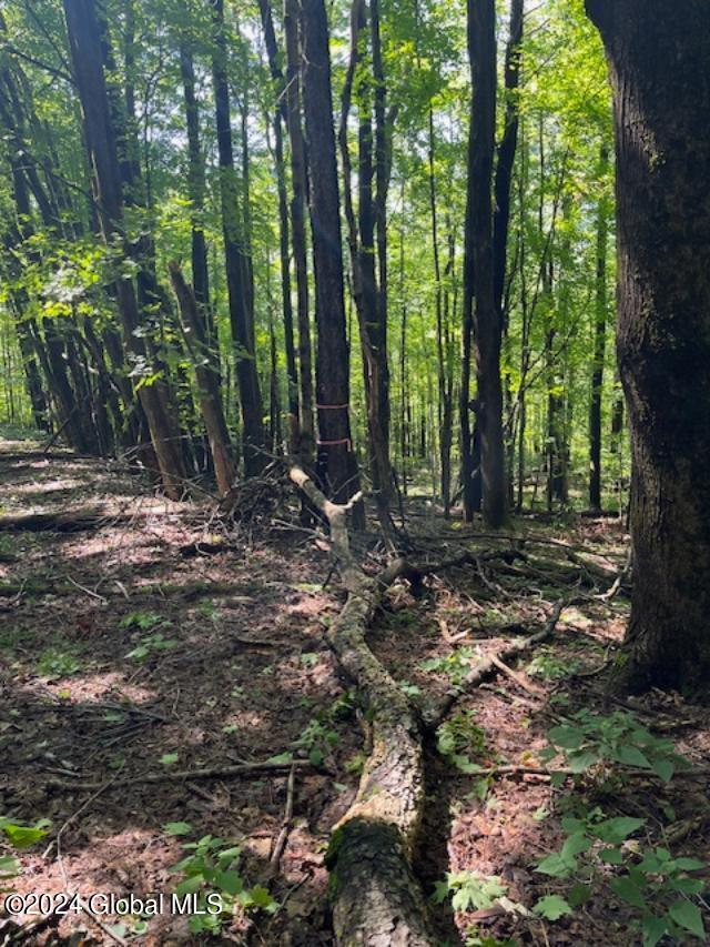 L67 Old Ghost Road, Unit LOT 6 Canaan, NY 12029 - Photo 8 of 16 3