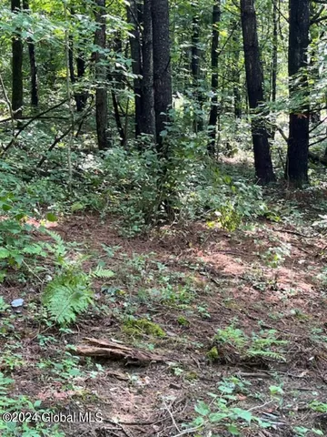 $99,500 | L67 Old Ghost Road, Unit LOT 6, Canaan, NY 12029