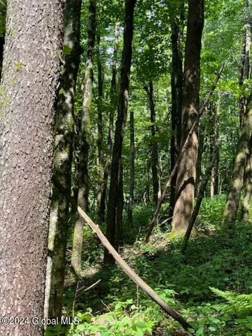 $99,500 | L67 Old Ghost Road, Unit LOT 6, Canaan, NY 12029