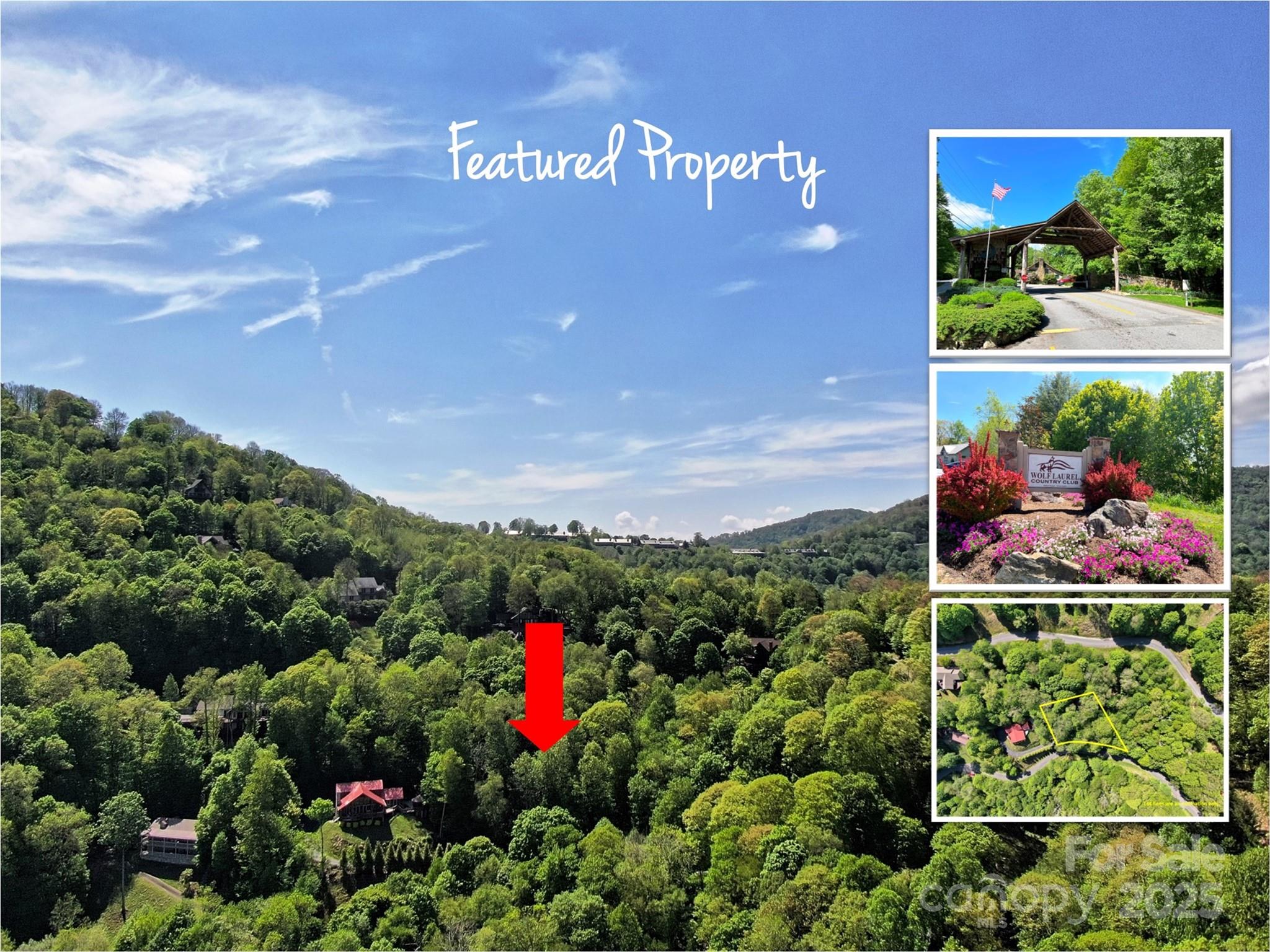 Tbd Goldenleaf Road, Unit 74 Mars Hill, NC 28754 - Photo 1 of 17 a view of a bunch of flowers