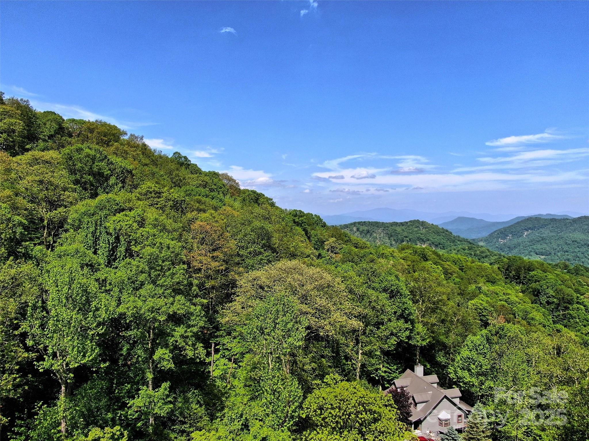 Tbd Goldenleaf Road, Unit 74 Mars Hill, NC 28754 - Photo 13 of 17 a view of a green field