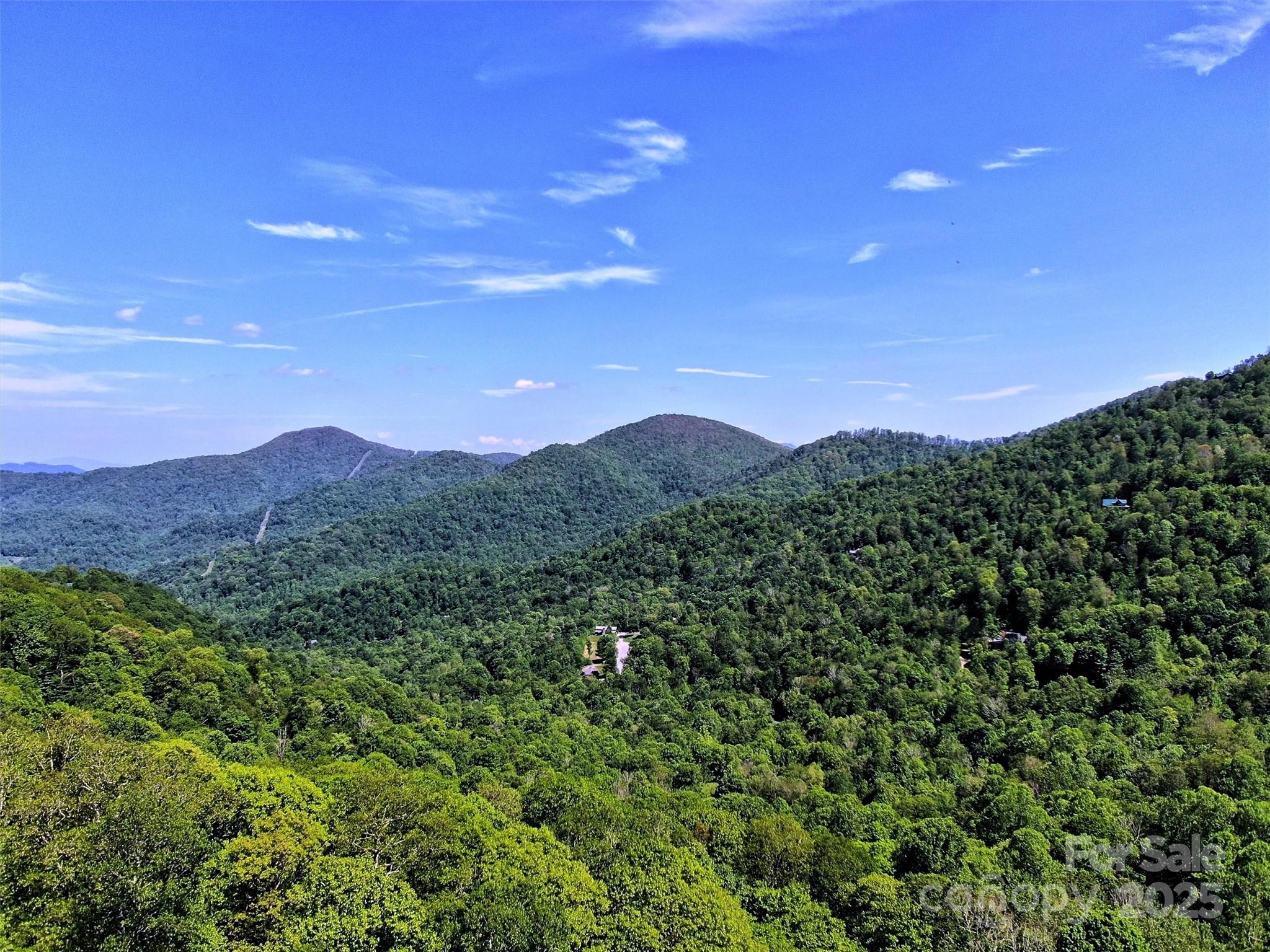 Tbd Goldenleaf Road, Unit 74 Mars Hill, NC 28754 - Photo 14 of 17 a view of a city with lush green forest