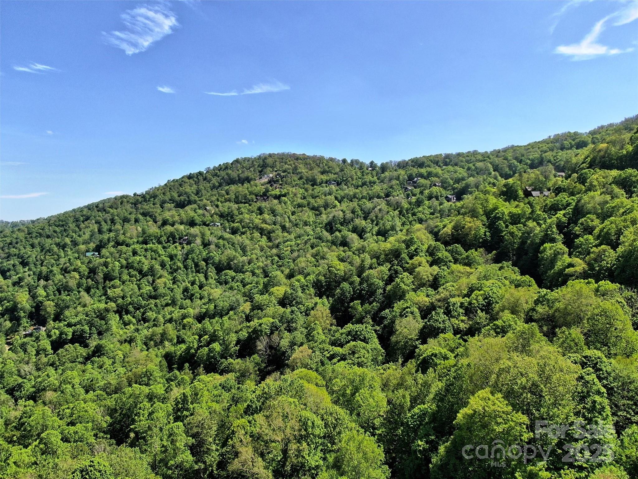 Tbd Goldenleaf Road, Unit 74 Mars Hill, NC 28754 - Photo 15 of 17 a view of a green field