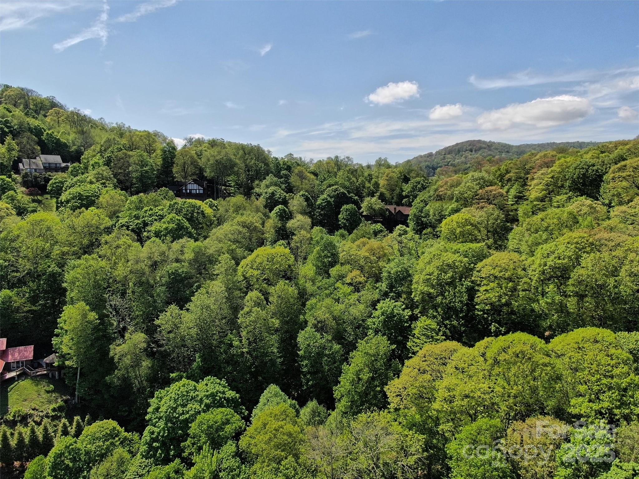 Tbd Goldenleaf Road, Unit 74 Mars Hill, NC 28754 - Photo 16 of 17 an aerial view of street and trees