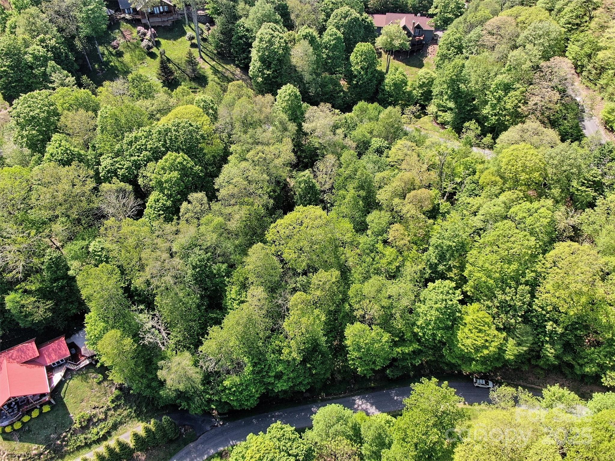 Tbd Goldenleaf Road, Unit 74 Mars Hill, NC 28754 - Photo 17 of 17 a view of a garden with plants