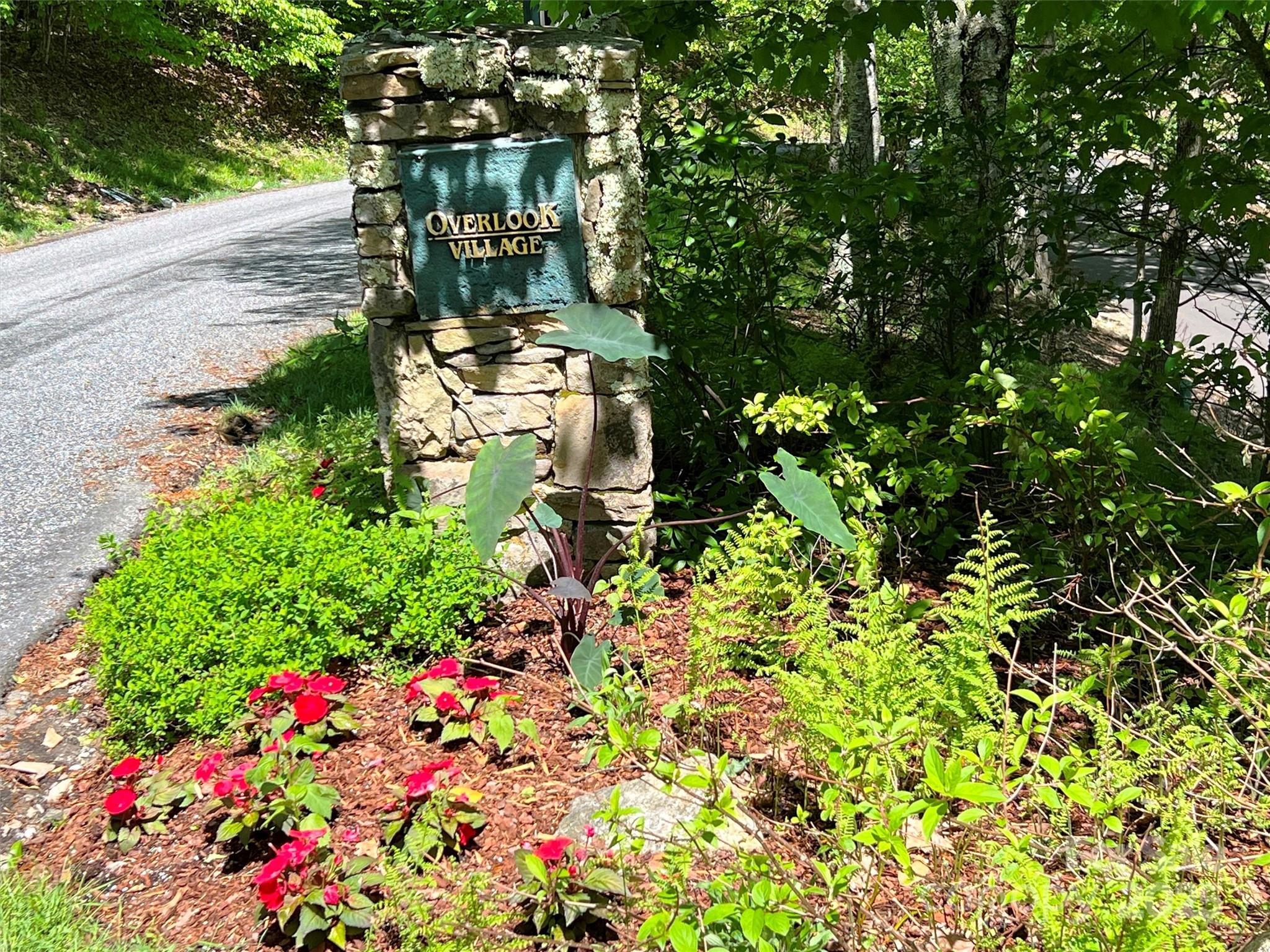 Tbd Goldenleaf Road, Unit 74 Mars Hill, NC 28754 - Photo 4 of 17