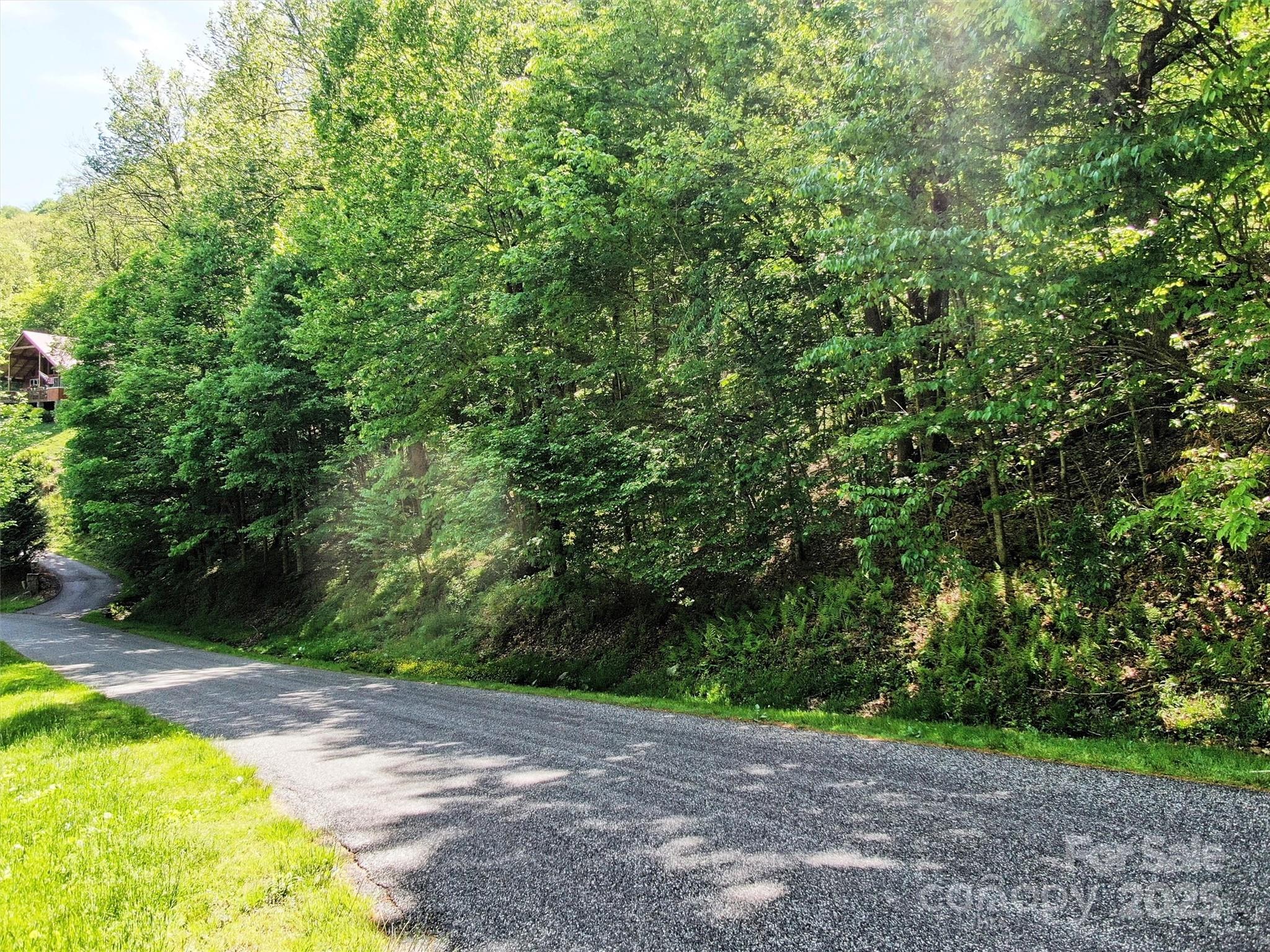 Tbd Goldenleaf Road, Unit 74 Mars Hill, NC 28754 - Photo 8 of 17 a view of a yard with a tree