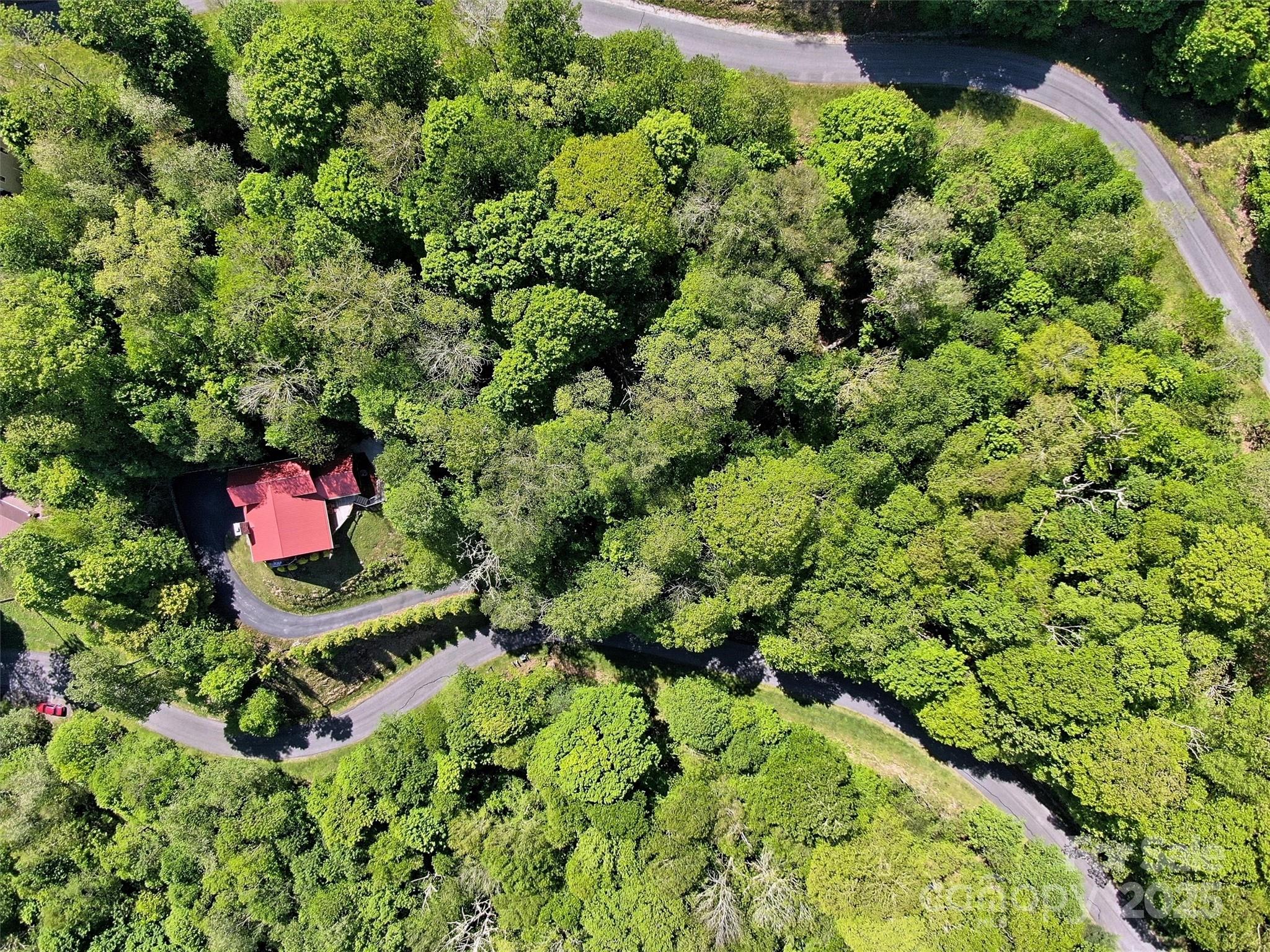 Tbd Goldenleaf Road, Unit 74 Mars Hill, NC 28754 - Photo 10 of 17 a picture of flowers