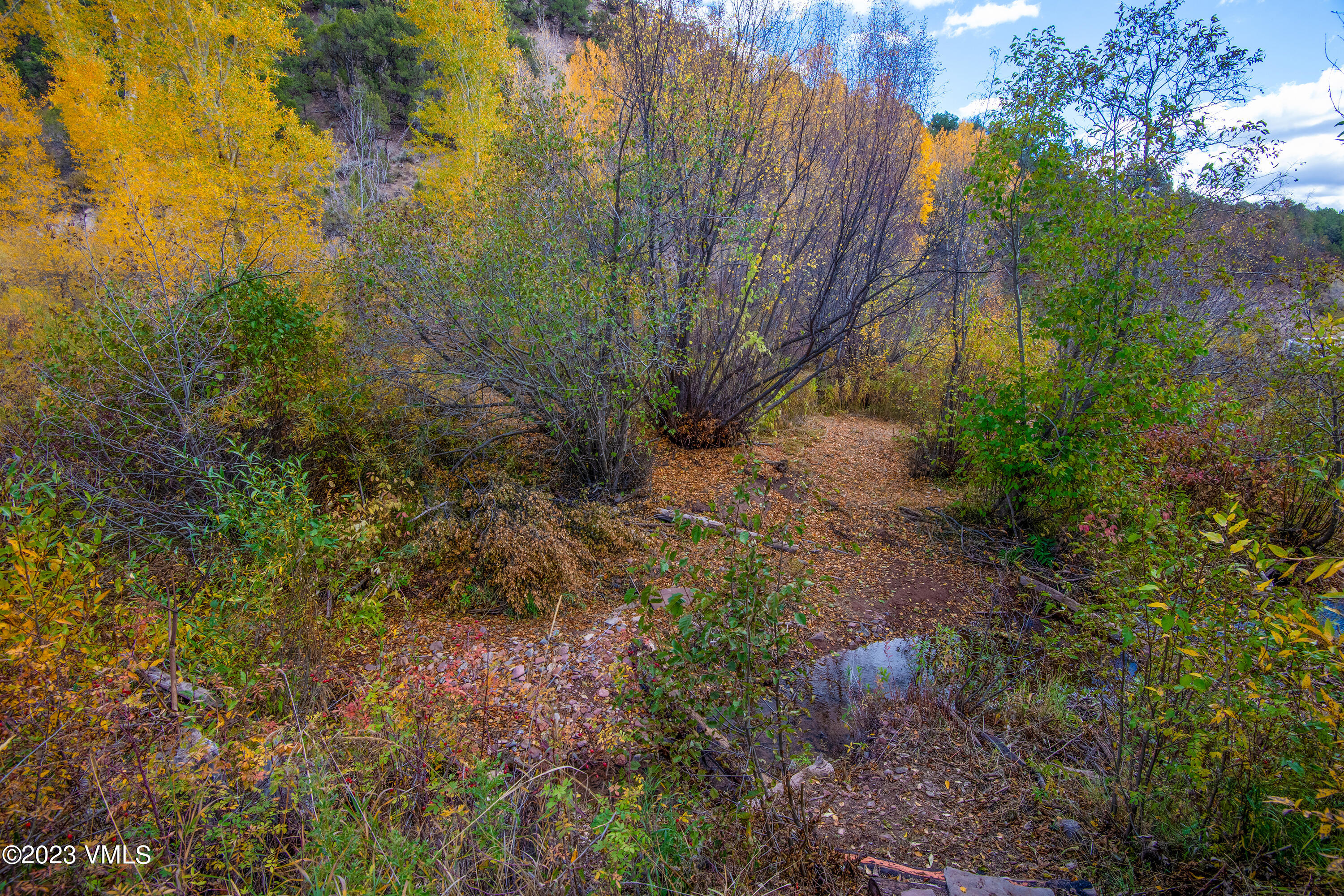 1950 Eby Creek Road Eagle, CO 81631 - Photo 22 of 44 1950-Eby-Crk-MLS_09