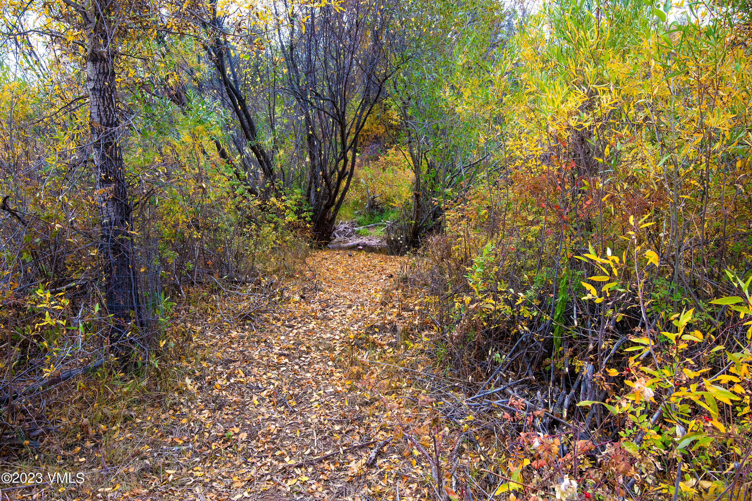 1950 Eby Creek Road Eagle, CO 81631 - Photo 25 of 44 1950-Eby-Crk-MLS_13
