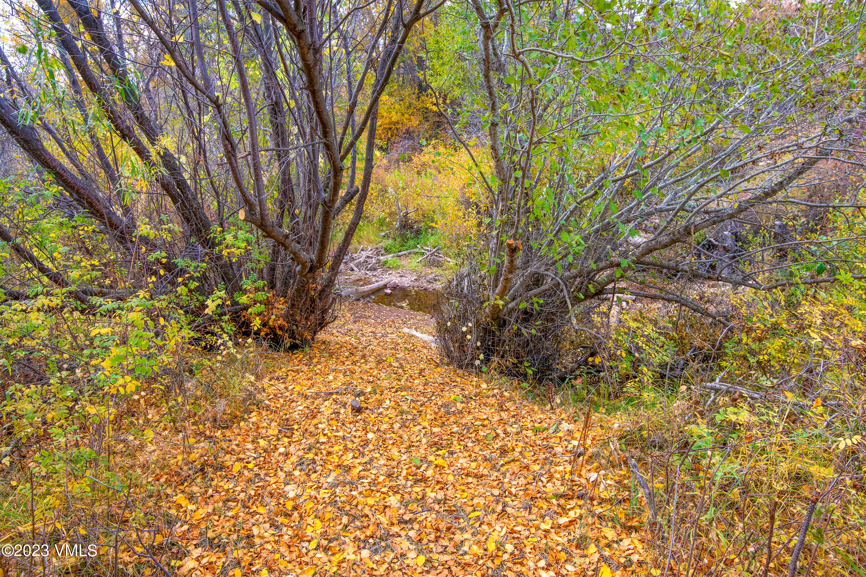 1950 Eby Creek Road Eagle, CO 81631 - Photo 27 of 44 1950-Eby-Crk-MLS_15