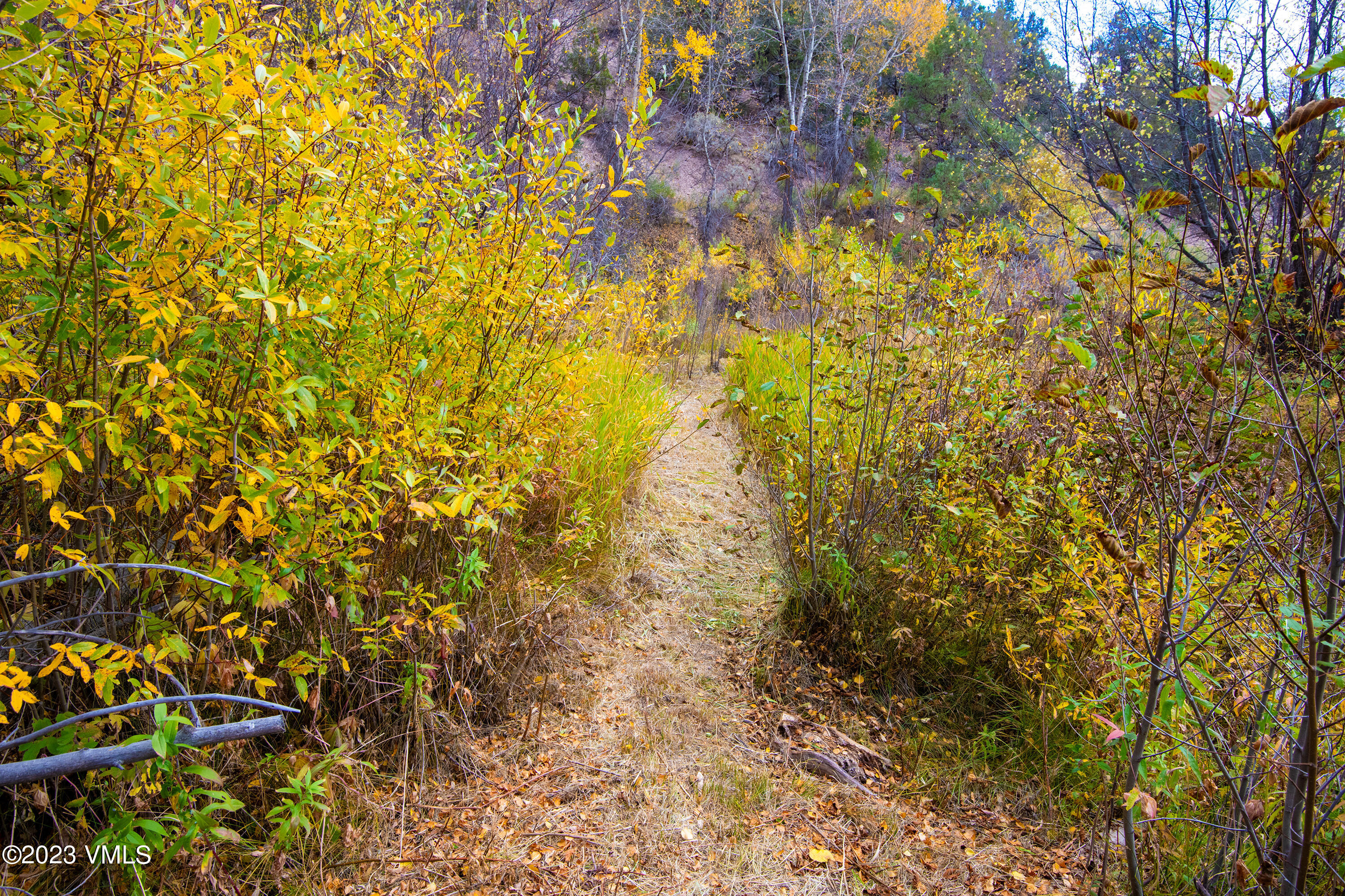 1950 Eby Creek Road Eagle, CO 81631 - Photo 28 of 44 1950-Eby-Crk-MLS_16