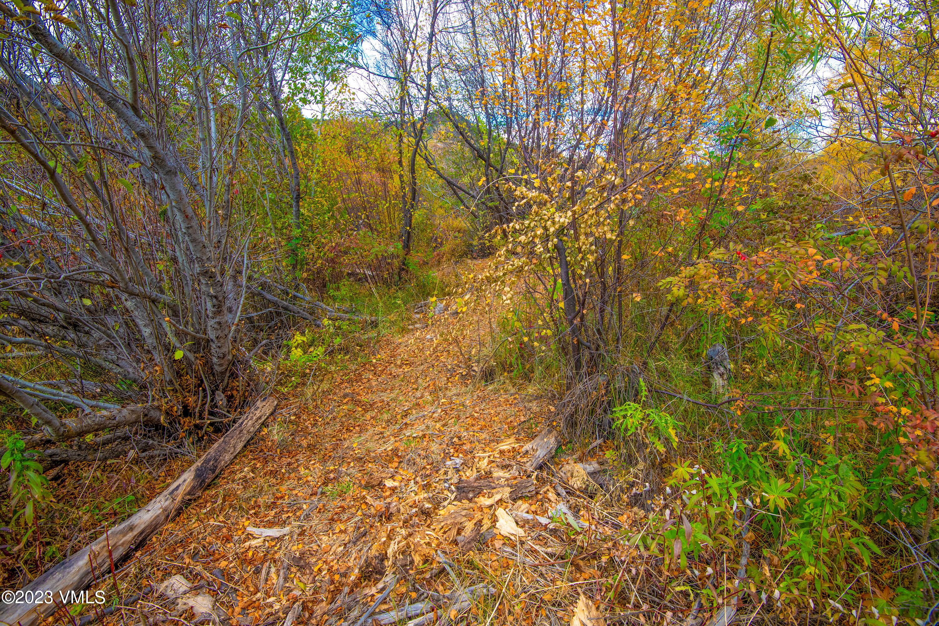 1950 Eby Creek Road Eagle, CO 81631 - Photo 29 of 44 1950-Eby-Crk-MLS_17
