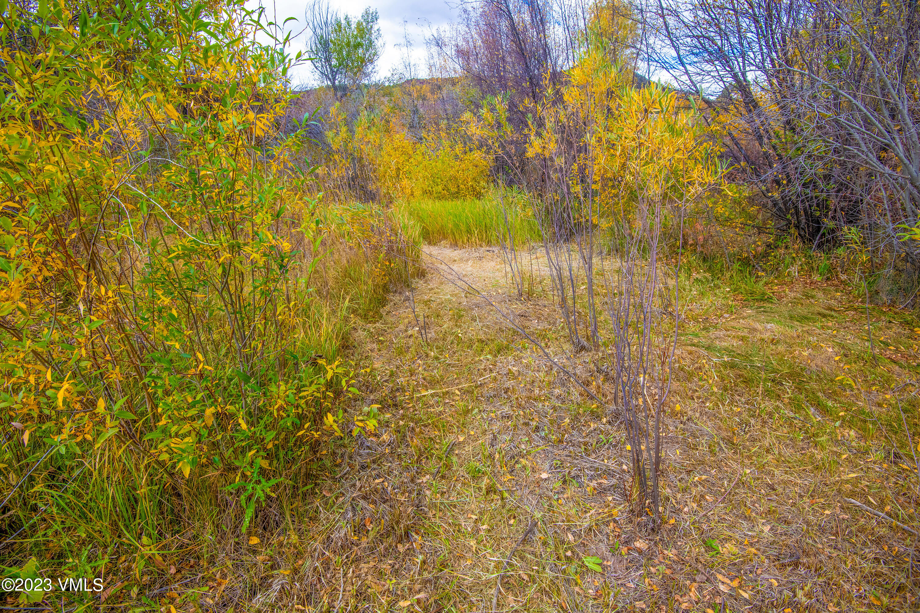 1950 Eby Creek Road Eagle, CO 81631 - Photo 42 of 44 1950-Eby-Crk-MLS_18