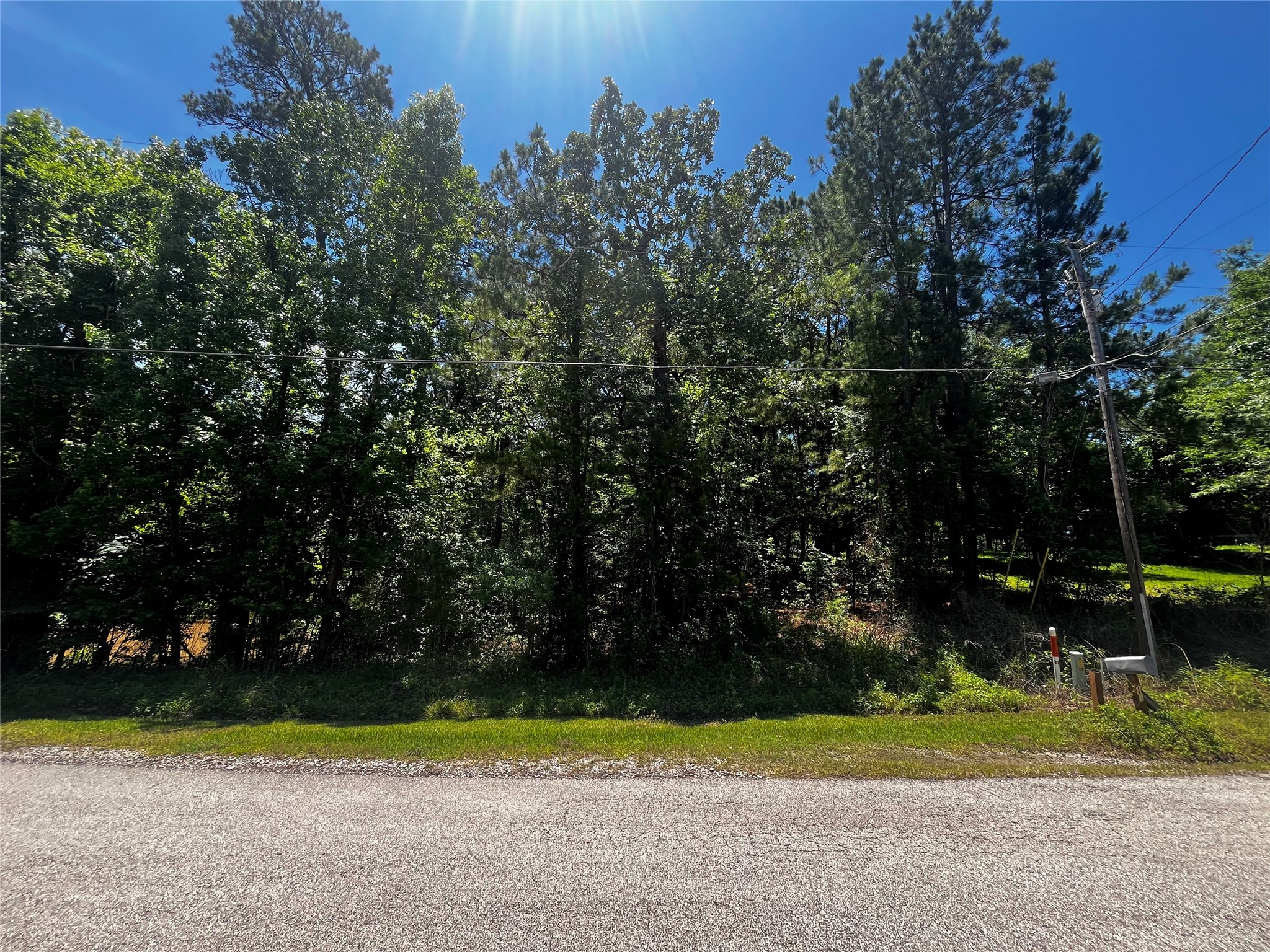 0 Hickory Ridge Drive Coldspring, TX 77331 - Photo 3 of 4 Interior Lot