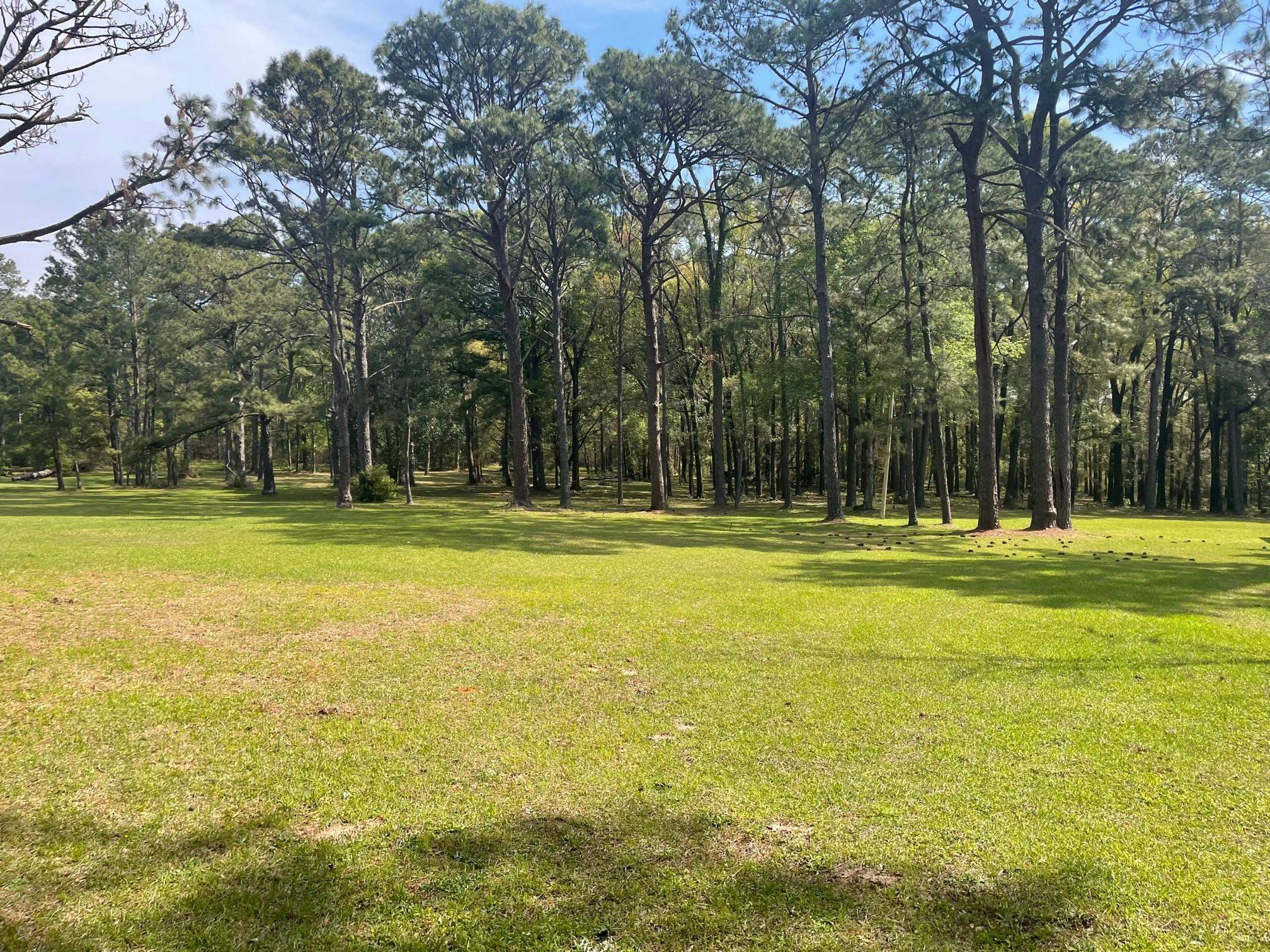 7935 Parker Road Fairhope, AL 36532 - Photo 5 of 13