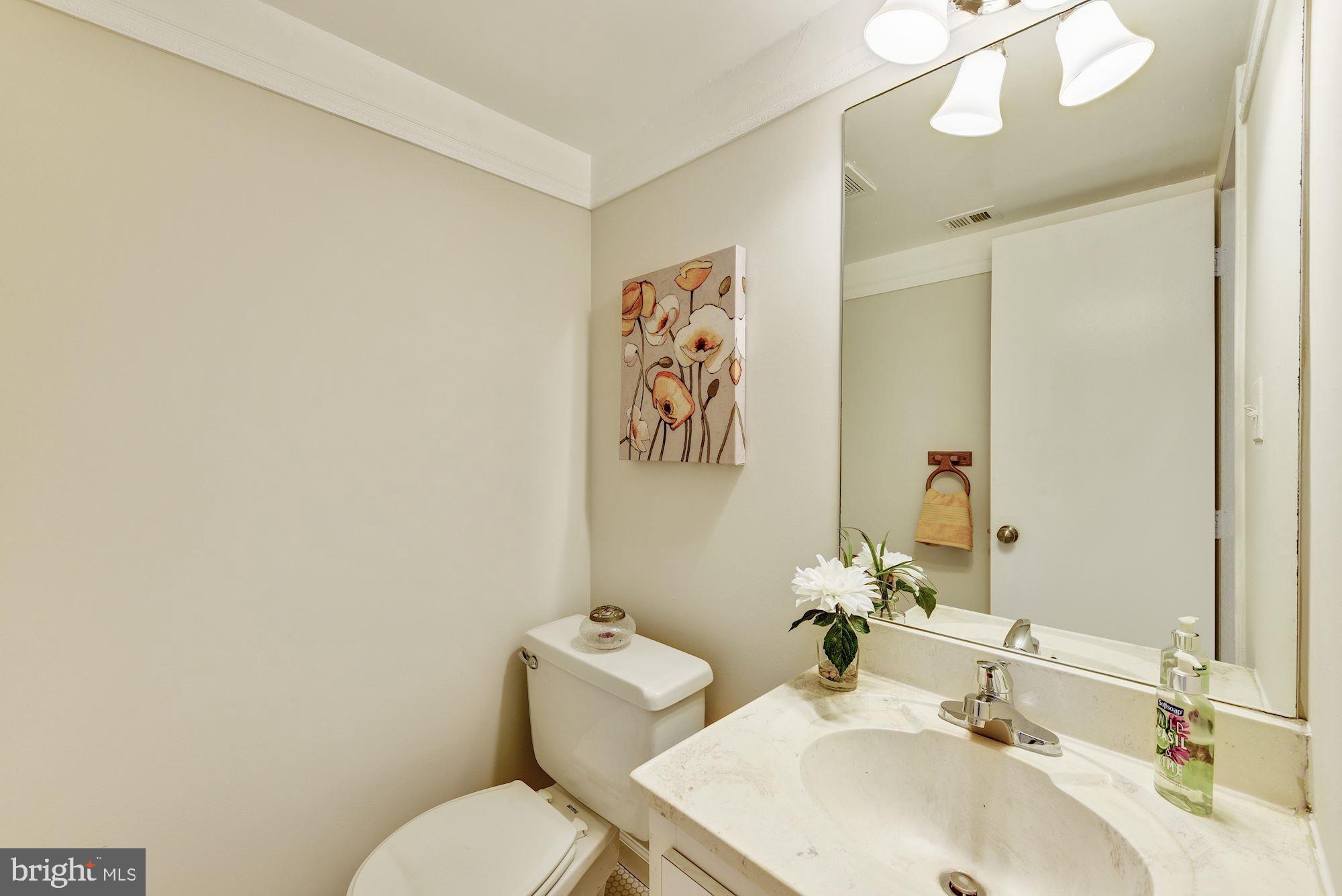 14916 Chestnut Ridge Court Gaithersburg, MD 20878 - Photo 16 of 36 Main Level Powder Room
